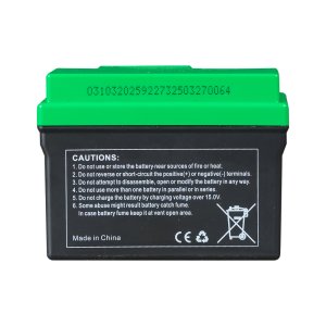 Аккумулятор FUBAG li-ion 3Ah для инверторного генератора TI 11000 A ES (арт. 646211) купить в Ханты-Мансийске
